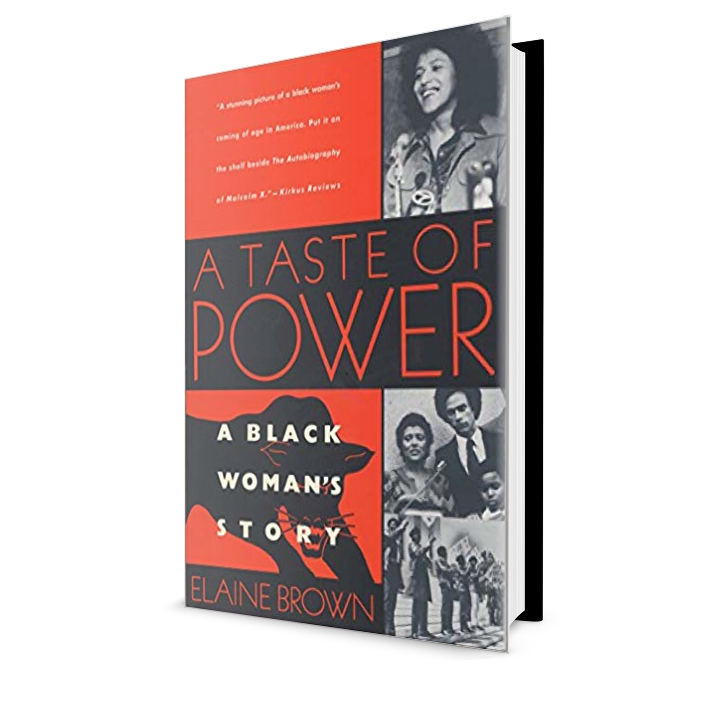 A Taste of Power: A Black Woman's Story
