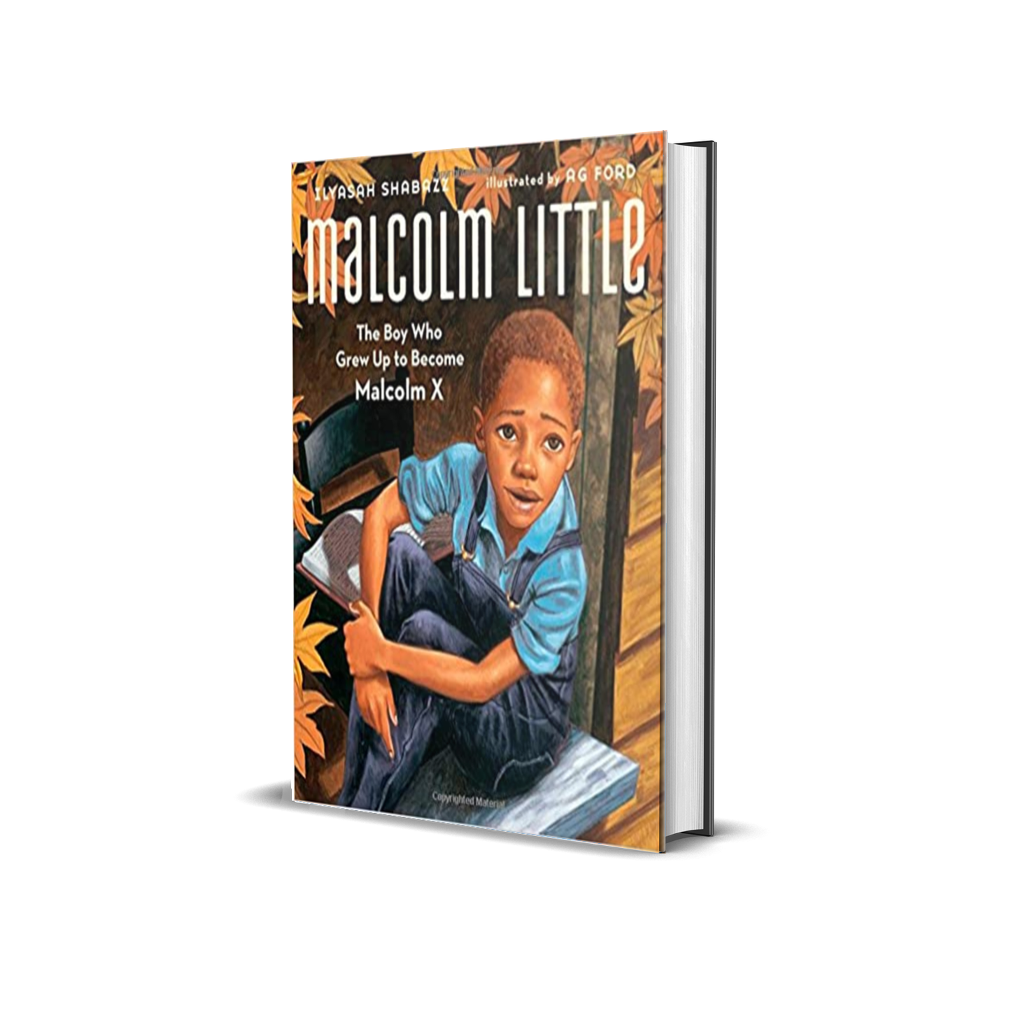 Malcolm Little: The Boy who grew up to be Malcolm X by Ilyasah Shabazz-(hardcover)