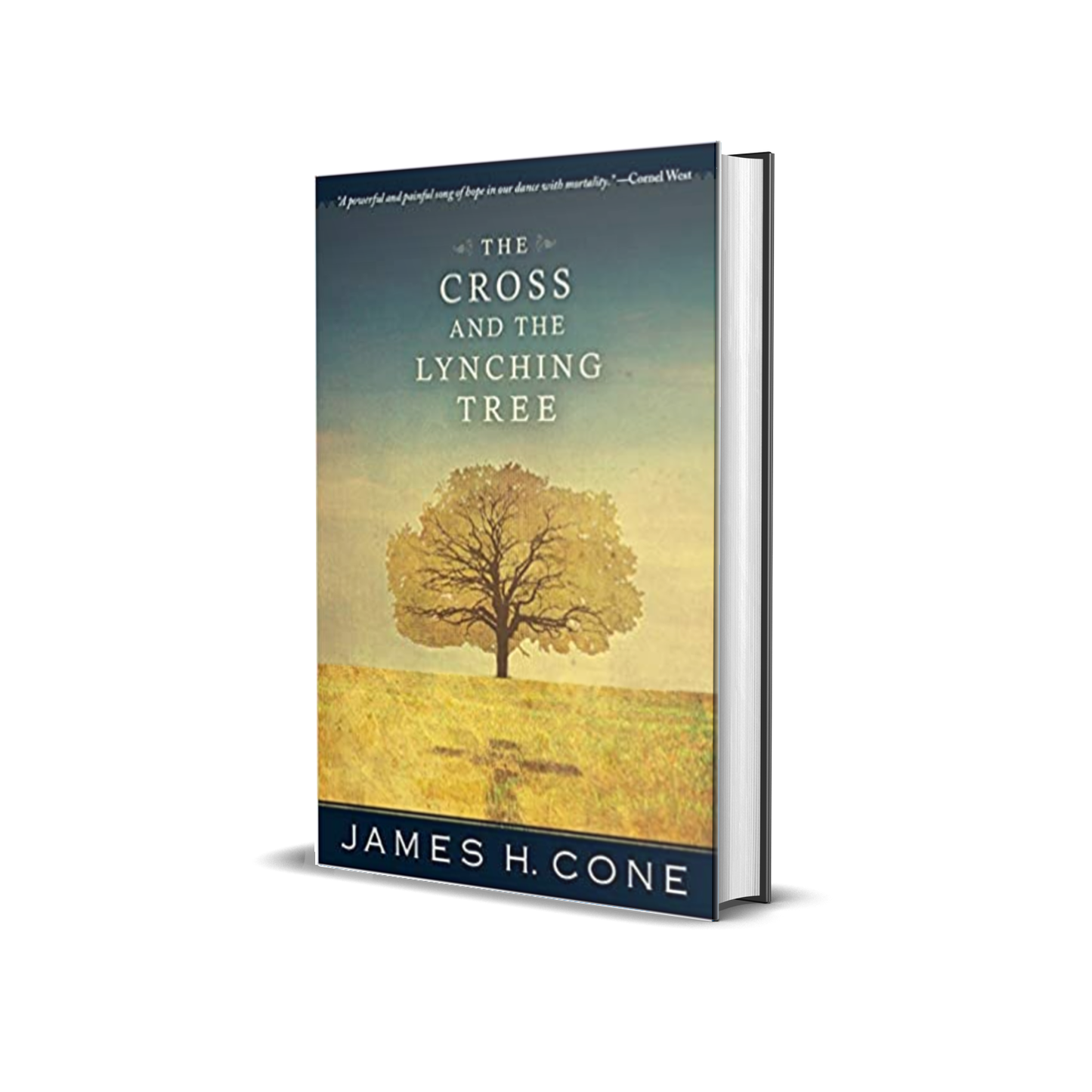 The Cross and the Lynching Tree by James H. Cone