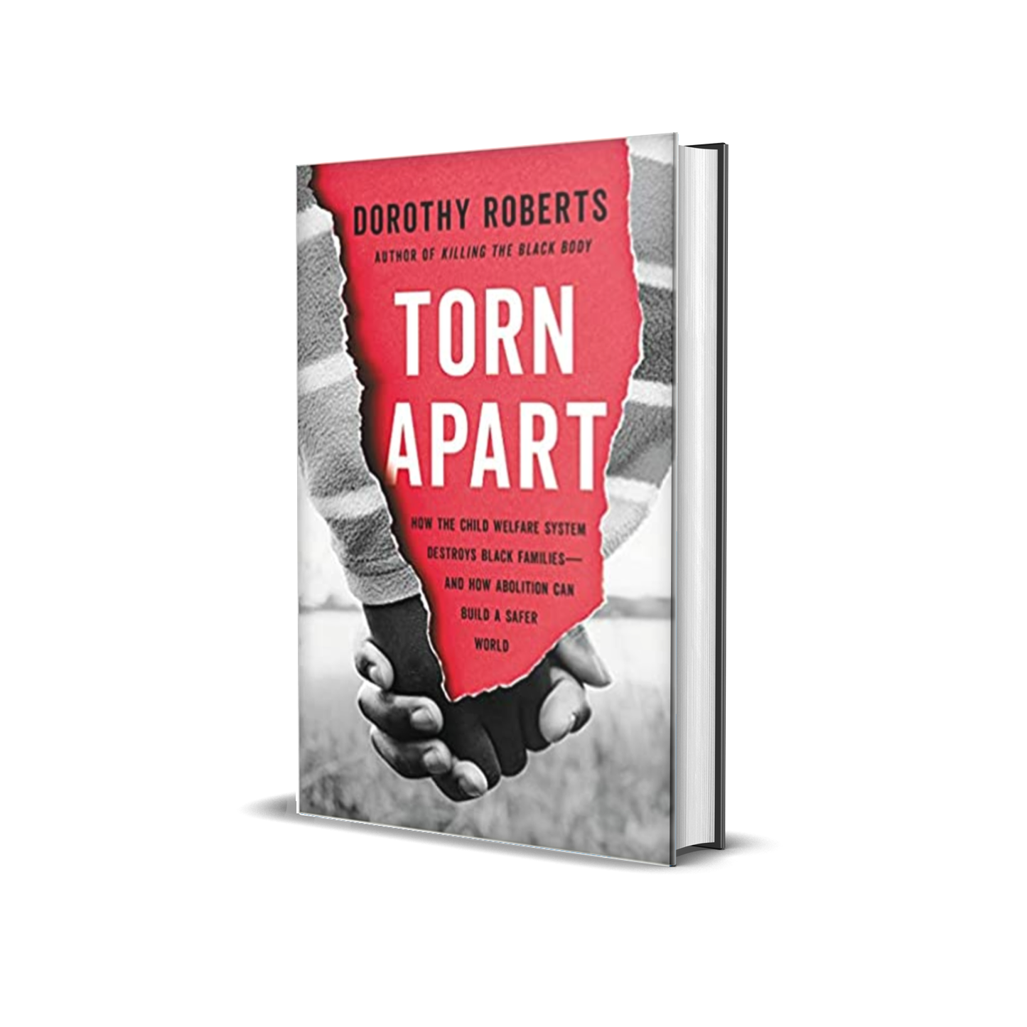 Torn Apart: How the Child Welfare System Destroys Black Families--and How Abolition Can Build a Safer World by Dorothy Roberts