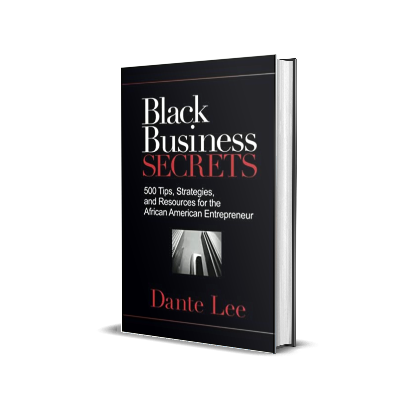 Black Business Secrets: 500 Tips, Strategies, and Resources for the African American Entrepreneur by Dante Lee