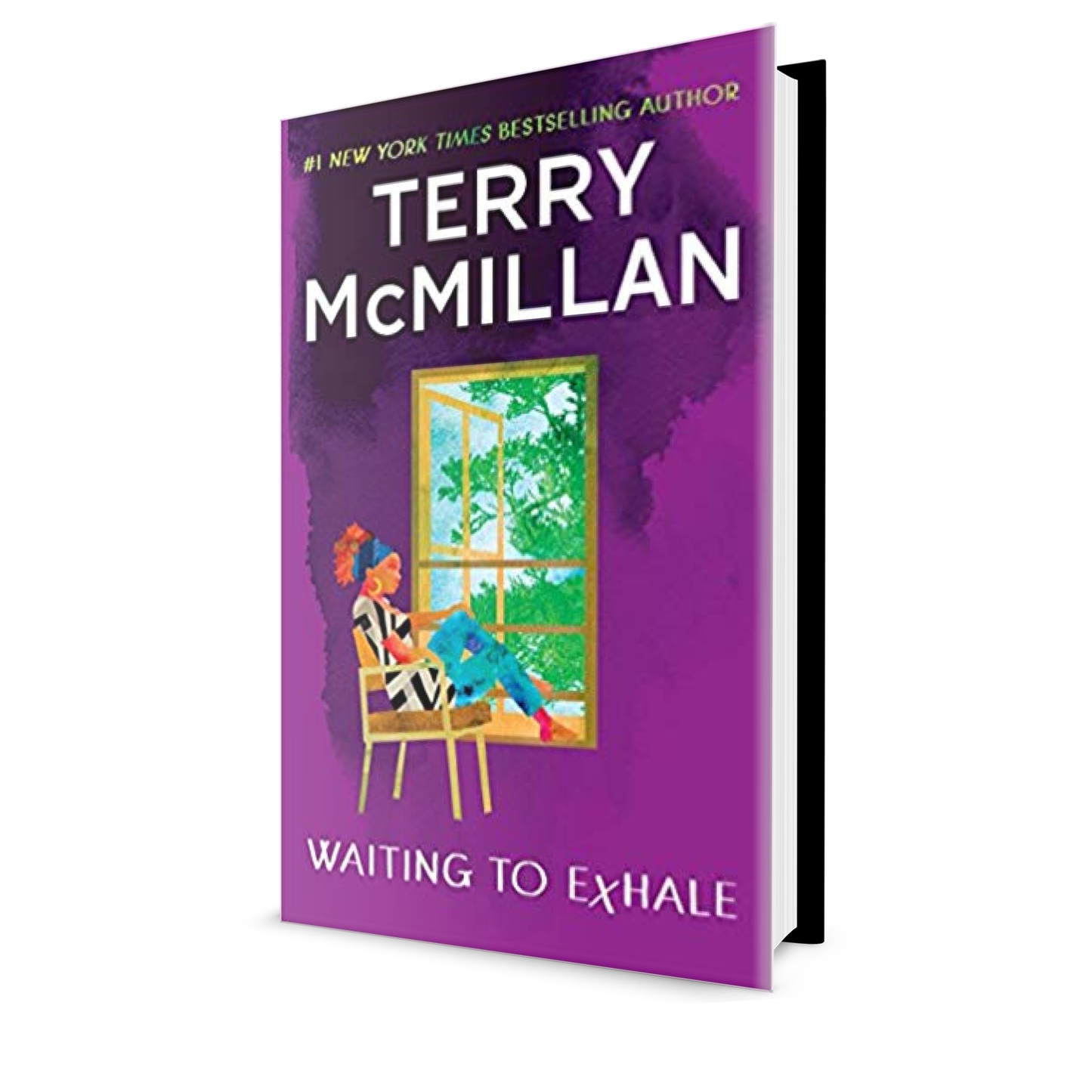 Terry McMmillin