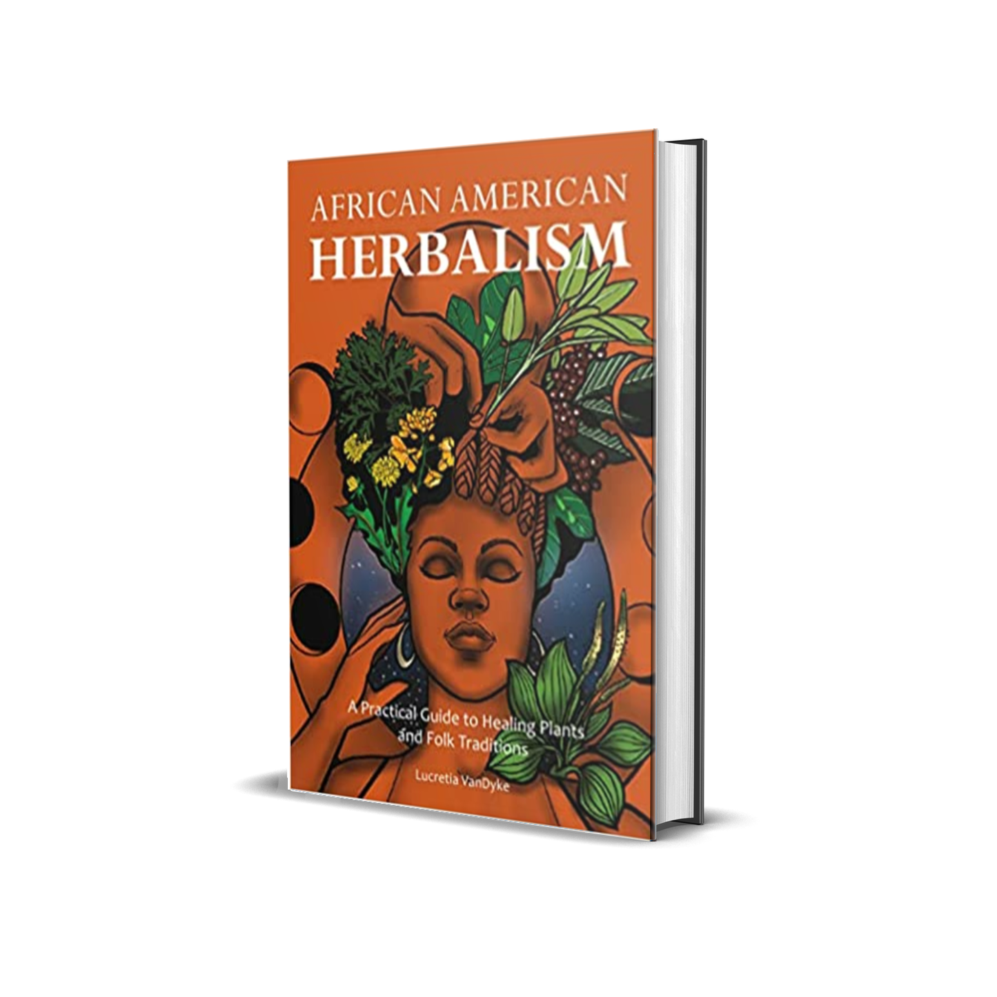 African American Herbalism: A Practical Guide to Healing Plants and Folk Traditions by Lucretia Vandyke