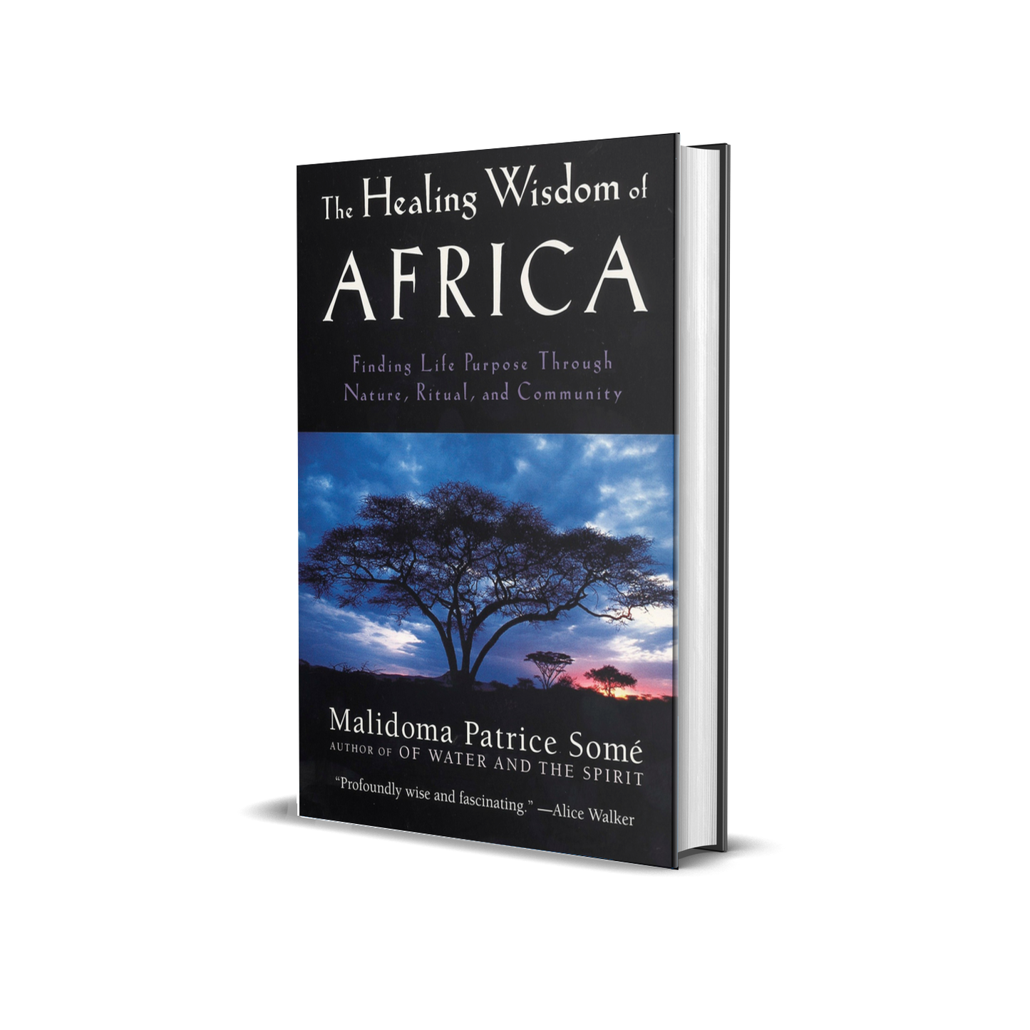 The Healing Wisdom of Africa by Malidoma Some