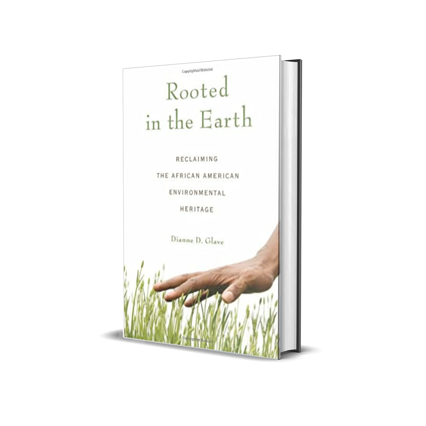 Rooted in the Earth: Reclaiming the African American Environmental Heritage by Dianne D. Glave