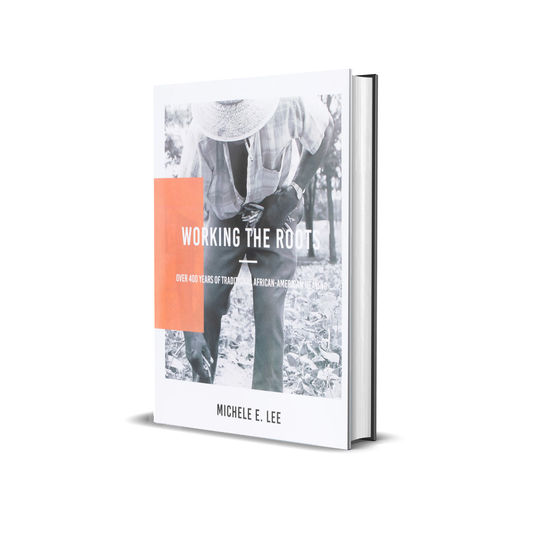 Working the Roots: Over 400 years of Traditional African American Healing by Michele E. Lee